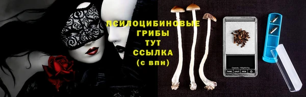 ГАЛЛЮЦИНОГЕННЫЕ ГРИБЫ Осинники