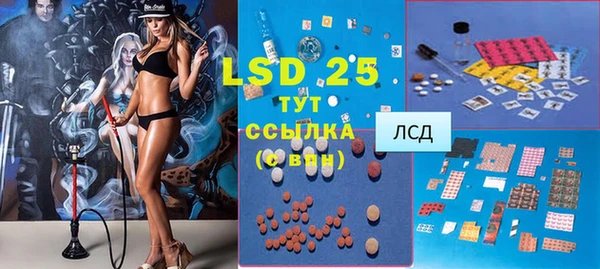 ГАЛЛЮЦИНОГЕННЫЕ ГРИБЫ Осинники