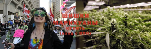 ГАЛЛЮЦИНОГЕННЫЕ ГРИБЫ Осинники