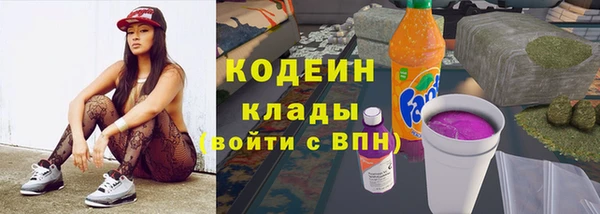 ГАЛЛЮЦИНОГЕННЫЕ ГРИБЫ Осинники