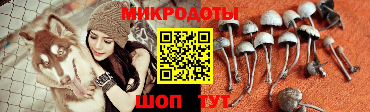 Галлюциногенные грибы мицелий  Вход с VPN  Скопин 